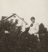 Ester i buskaget på Pettersbergs gård, 1919