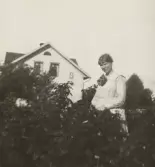 Ester i buskaget på Pettersbergs gård, 1919