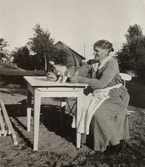 Anna med katten på bordet på Pettersbergs gård, 1919