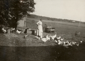 Anna matar hönsen på Pettersbergs gård, 1919