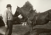 Husbonden håller en selad häst på Pettersbergs gård, 1919