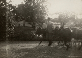Mjölkdags på Pettersbergs gård, 1920