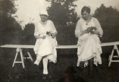 Två systrar med katter på Pettersbergs gård, 1920