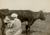 Mjölkning på Pettersbergs gård, 1918