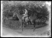 En man sitter på en häst. Wallin, Amsta, Kolbäck.
Ur Gustaf Åhmans samling.