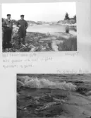 Johns album 1948-1953