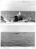 Johns album 1948-1953