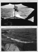Johns album 1948-1953