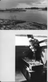 Johns album 1948-1953