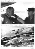 Johns album 1948-1953