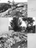 Johns album 1948-1953