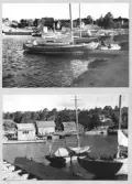 Johns album 1948-1953