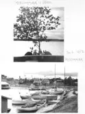 Johns album 1948-1953