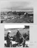 Johns album 1948-1953