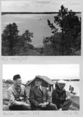 Johns album 1948-1953
