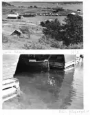 Johns album 1948-1953