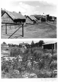 Johns album 1948-1953