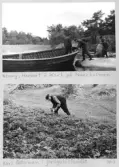 Johns album 1948-1949