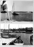 Johns album 1948-1949