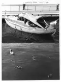 Johns album 1948-1949