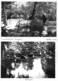 Johns album 1948-1949