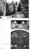 Johns album 1949-1952