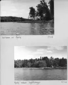 Johns album 1949-1952