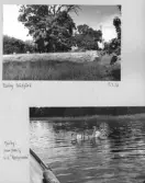 Johns album 1949-1952