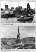 Johns album 1949-1952