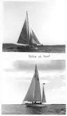 Johns album 1949-1952