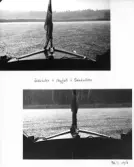 Johns album 1949-1952