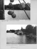 Johns album 1949-1952