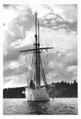 Johns album 1949-1952