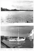 Johns album 1949-1952