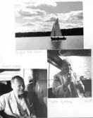 Johns album 1949-1952