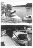 Johns album 1949-1952