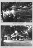 Johns album 1949-1952