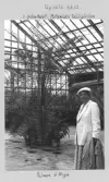 Johns album 1949-1952