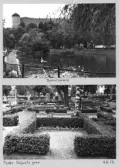 Johns album 1949-1952