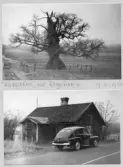 Johns album 1949