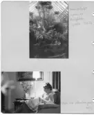 Johns album 1949