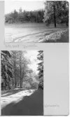 Johns album 1949