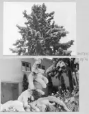 Johns album 1949