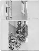 Johns album 1949