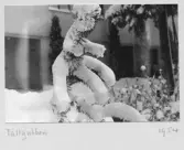 Johns album 1949