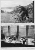 Johns album 1951