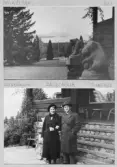 Johns album 1951