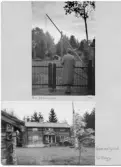 Johns album 1951