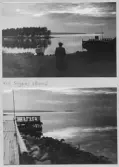 Johns album 1951