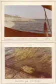 Johns album 1952-1962
